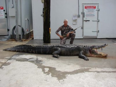 central-florida-alligator-153