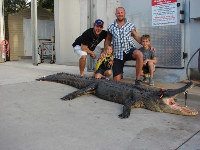 central-florida-alligator-157