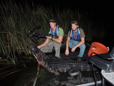 central-florida-alligator-170